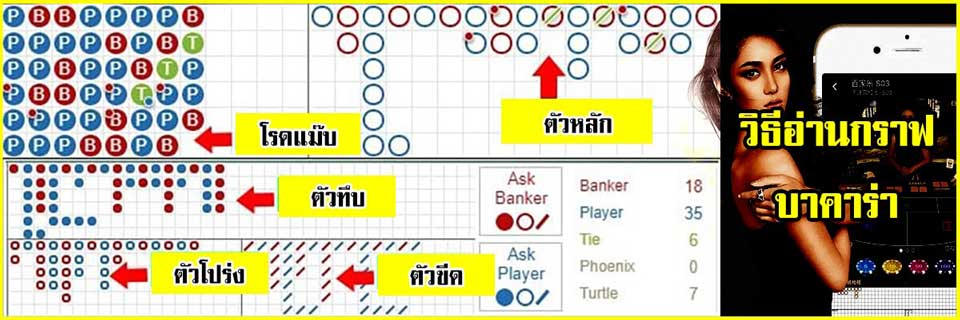 กราฟการออกกไพ่บาคาร่า